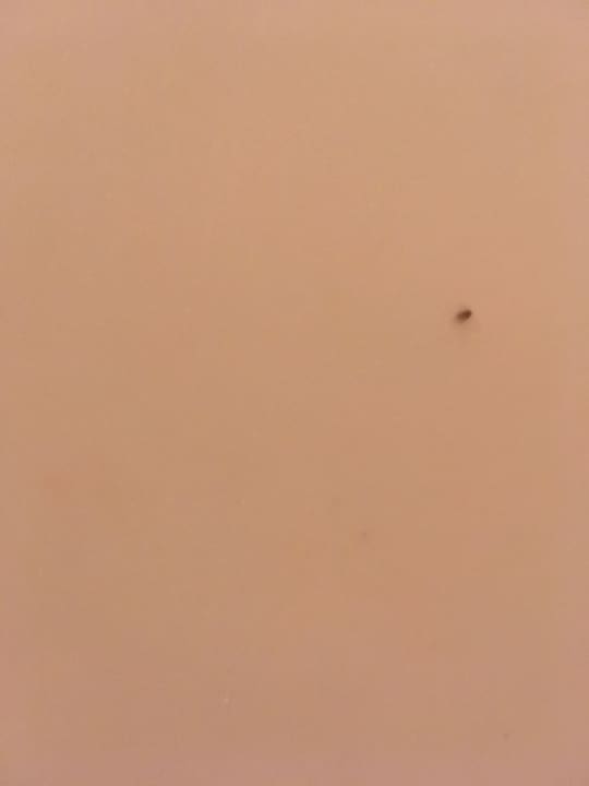 Zimmer Marlin Inn Azur Resort