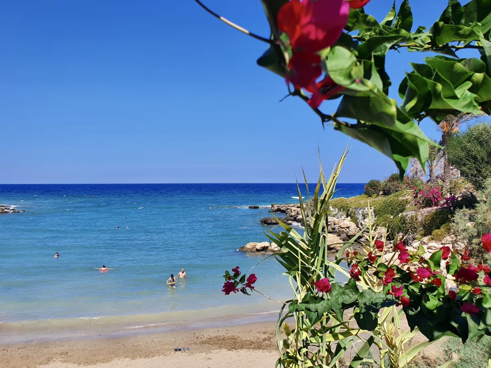 Strand Crystal Springs Beach Hotel