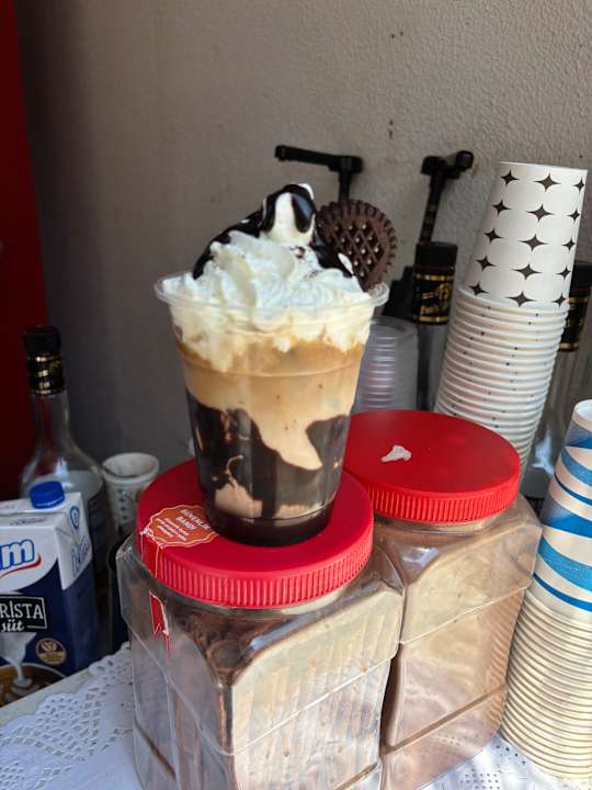 Strand Seashell Vega