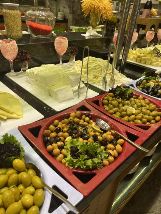 Gastro Seashell Vega