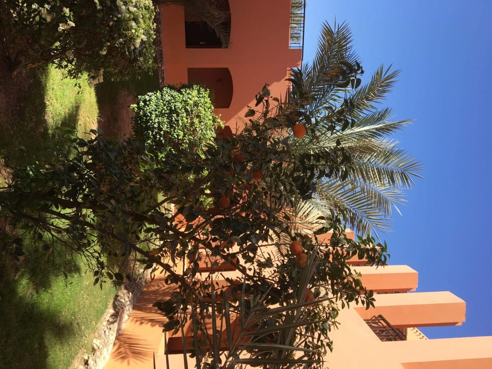 Außenansicht Jaz Makadi Oasis Resort