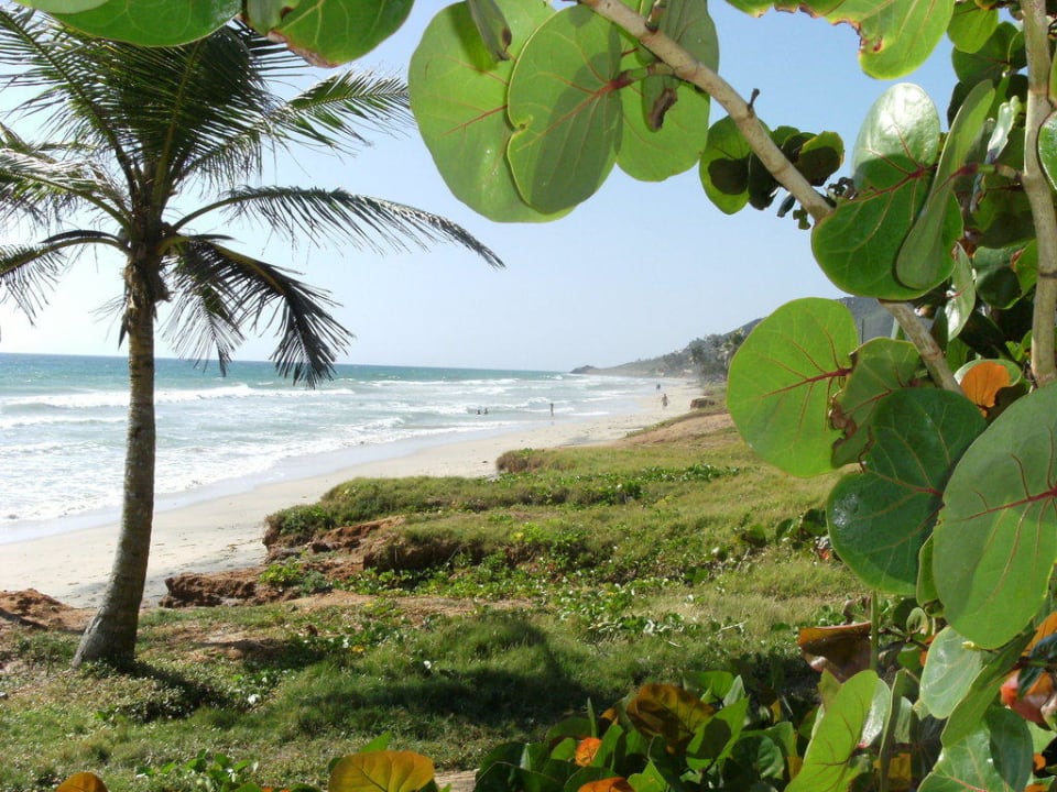 Strand neben der Strandbar Hotel Isla Caribe Beach