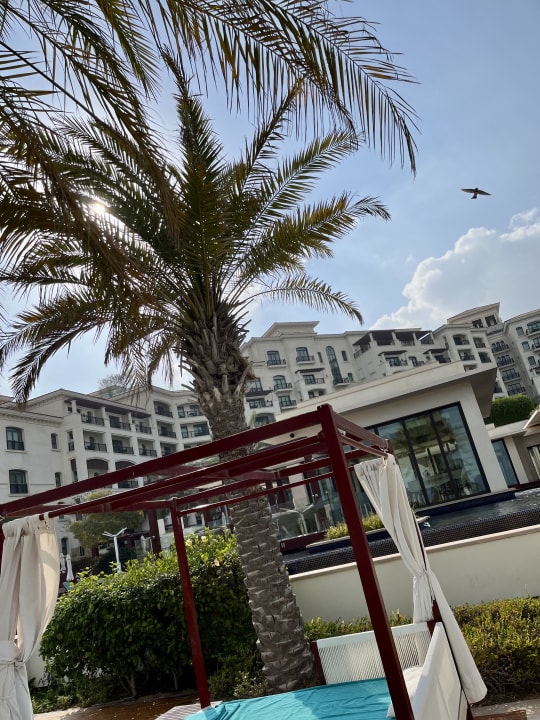 Pool The St. Regis Saadiyat Island Resort, Abu Dhabi
