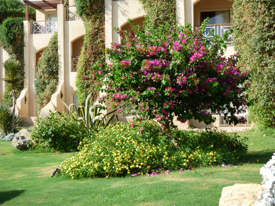 Gartenanlage Prima Life Makadi Resort