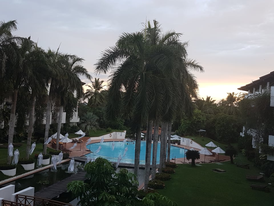 Pool Hotel Lanka Princess Ayurveda