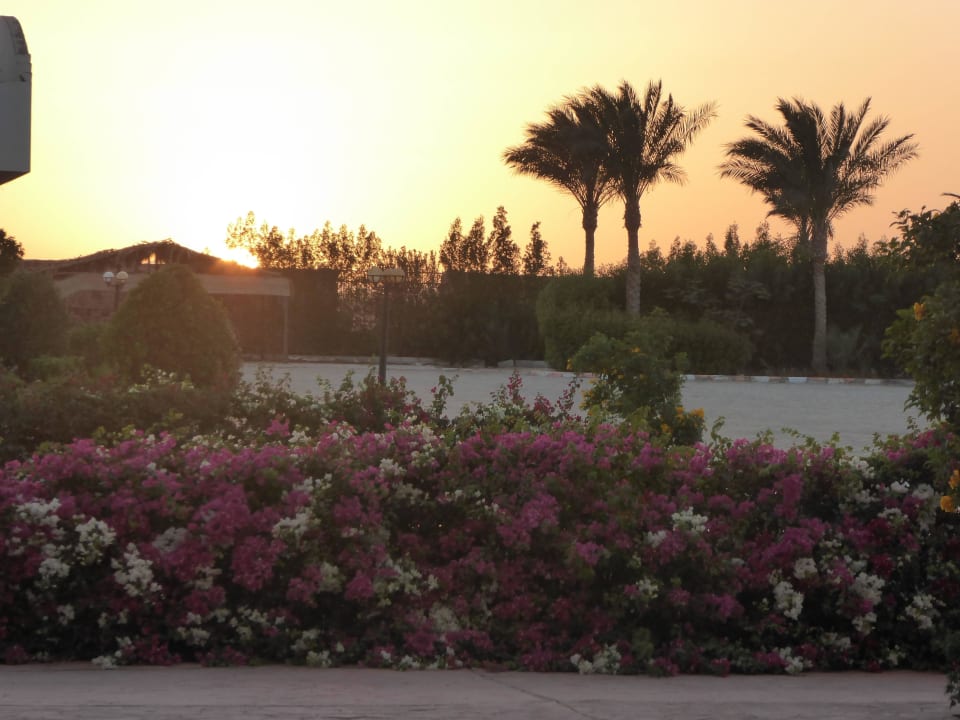 Schöner Sonnenuntergang Fantazia Resort Marsa Alam
