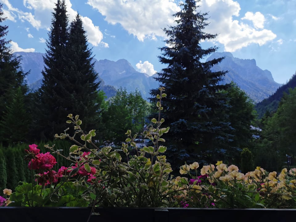 Ausblick Haus Patricia