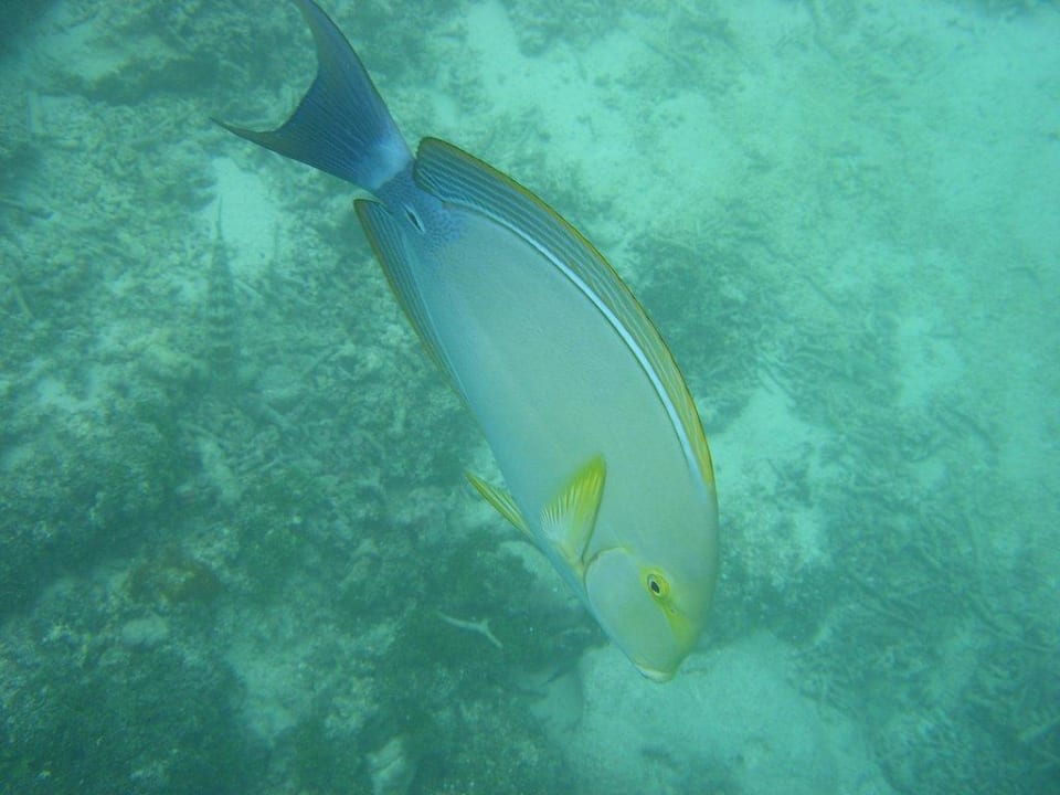 Am Strand Meeru Maldives Resort Island