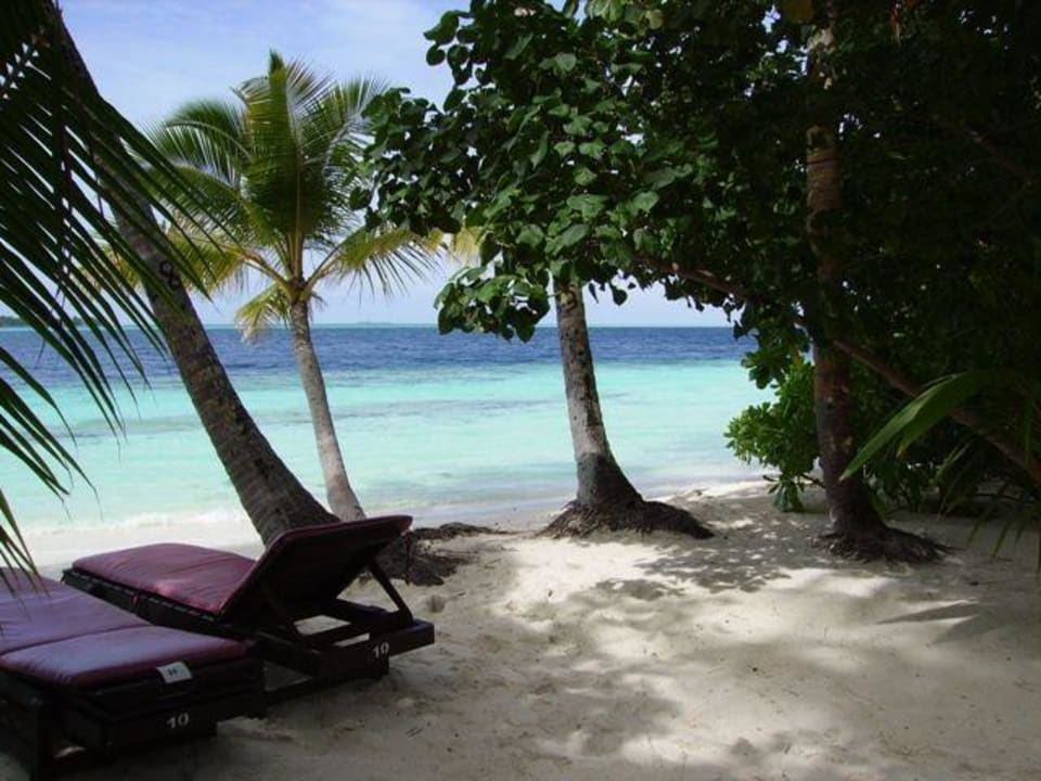 Liegestühle Bungi 12 Vilamendhoo Island Resort & Spa
