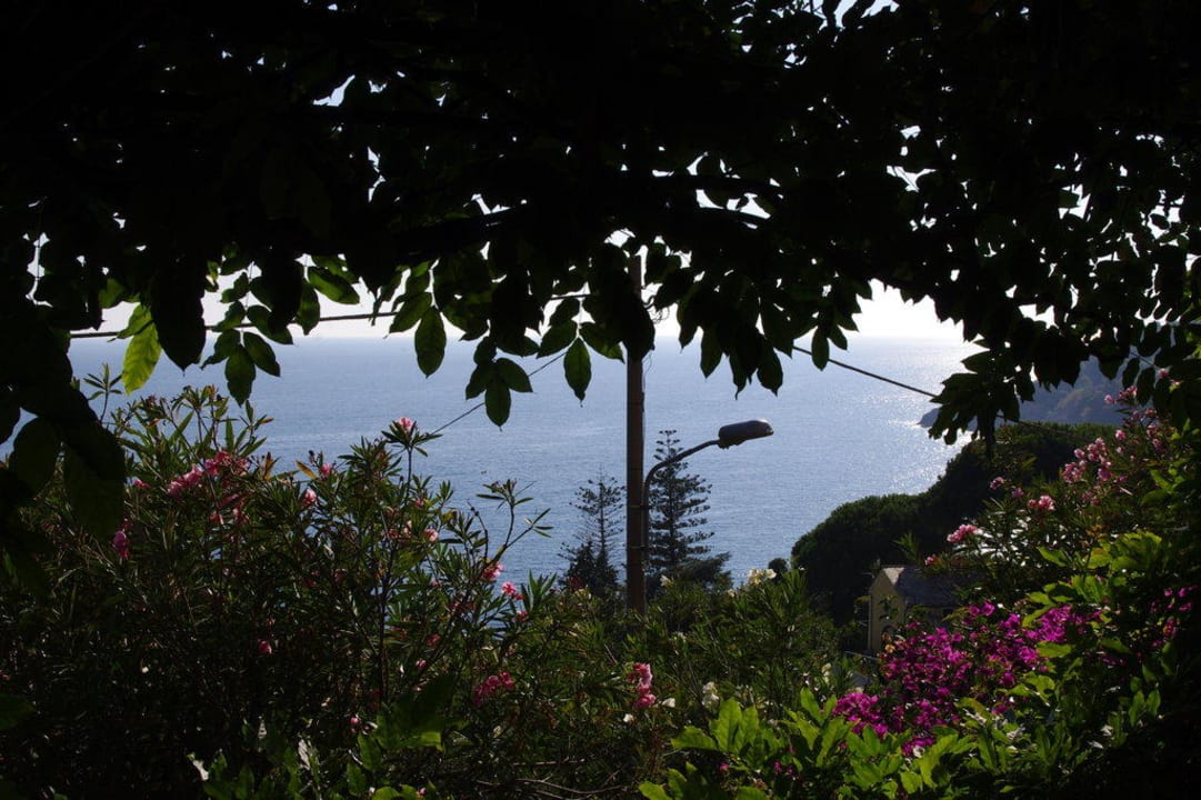 Blick von der Gartenanlage Hotel Belvedere
