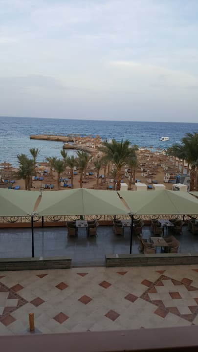 Ausblick Beach Albatros Resort