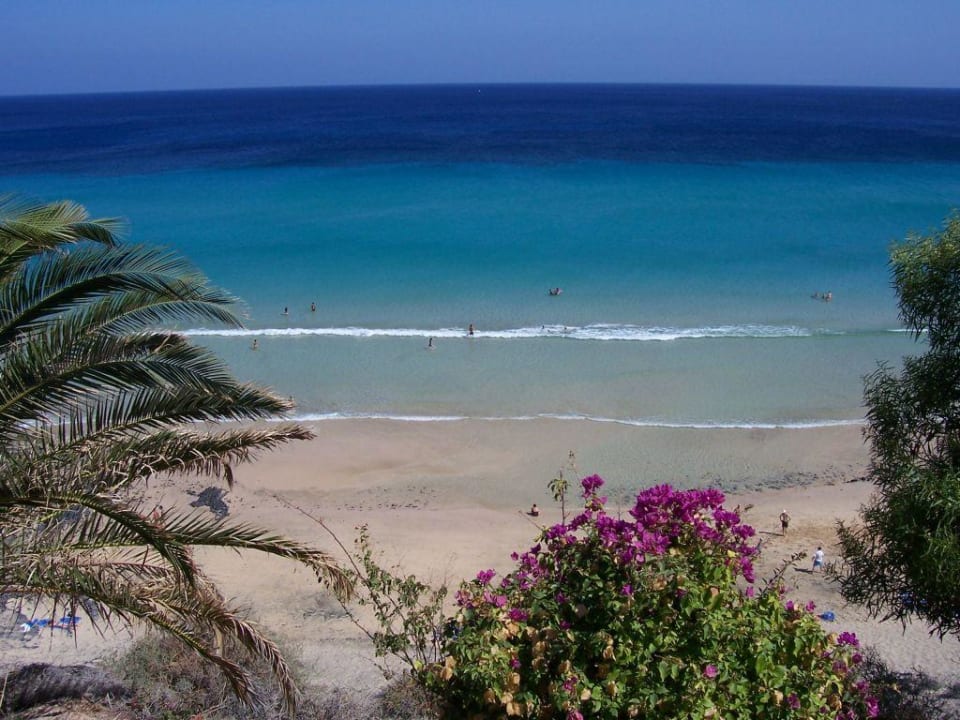 Meerblick SBH Club Paraiso Playa