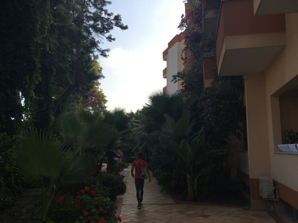 Gartenanlage Club Dizalya