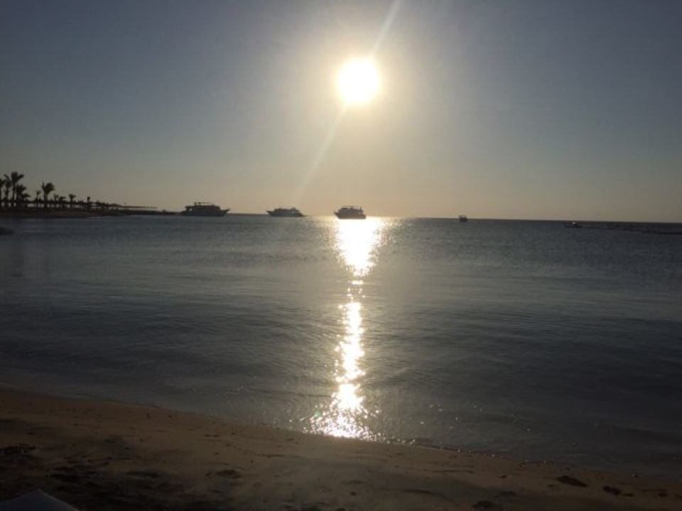 Strand Pickalbatros Palace Resort