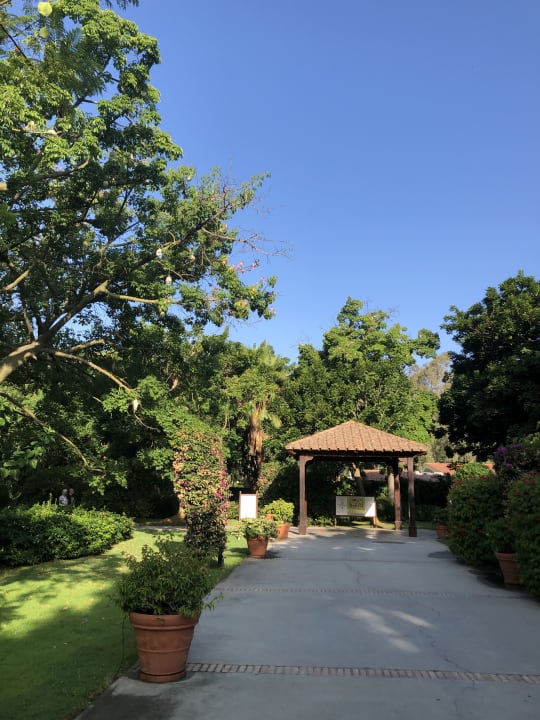 Gartenanlage TUI MAGIC LIFE Calabria