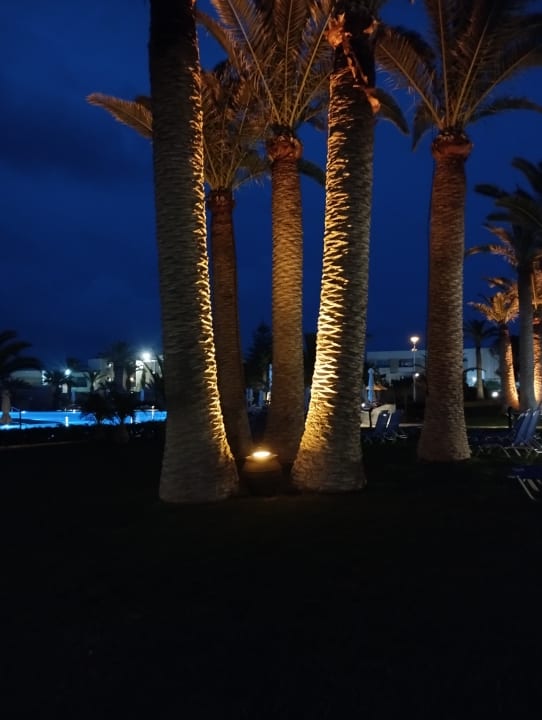 Gartenanlage Anissa Beach & Village