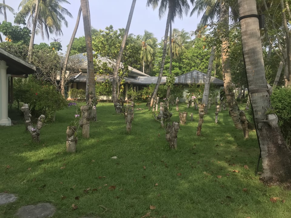 Gartenanlage Villa Park Sun Island