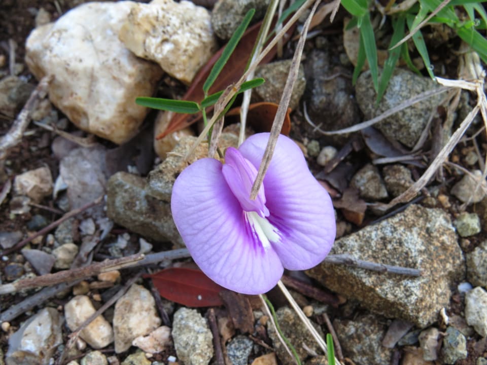 Gartenanlage Sol Rio De Luna y Mares