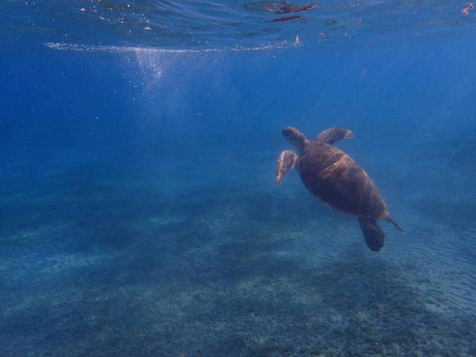 Sport & Freizeit Malikia Resort Abu Dabbab