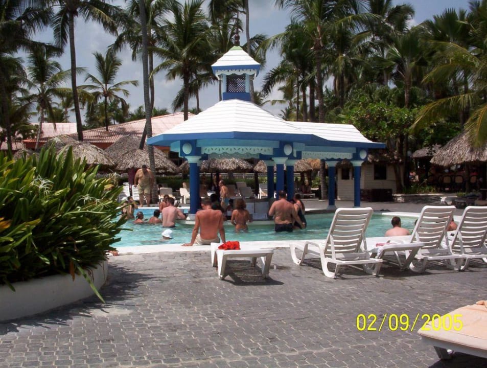 Der große Pool Hotel Riu Palace Bavaro