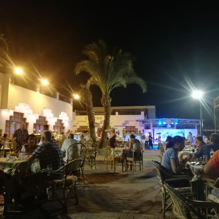 Gastro Menaville Safaga