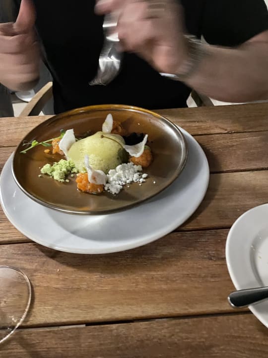 Gastro Acanthus Cennet Barut Collection