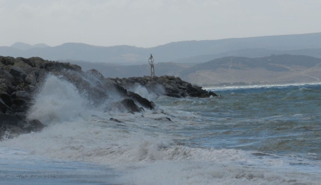 Sturm! Hotel Little Inn