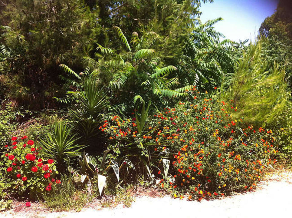 Immerso nel verde Masseria Porto Badisco