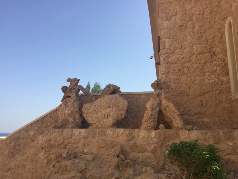 Strand Pickalbatros Citadel Resort