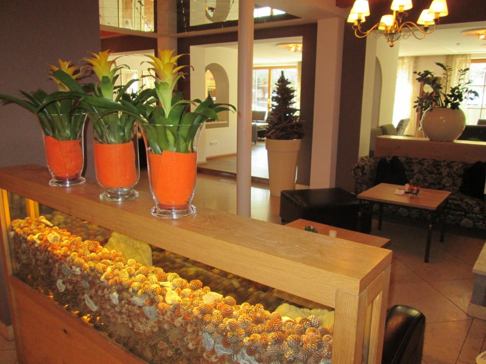 Barbereich Übergossene Alm Resort