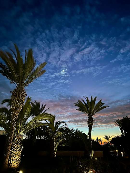 Gartenanlage ROBINSON AGADIR