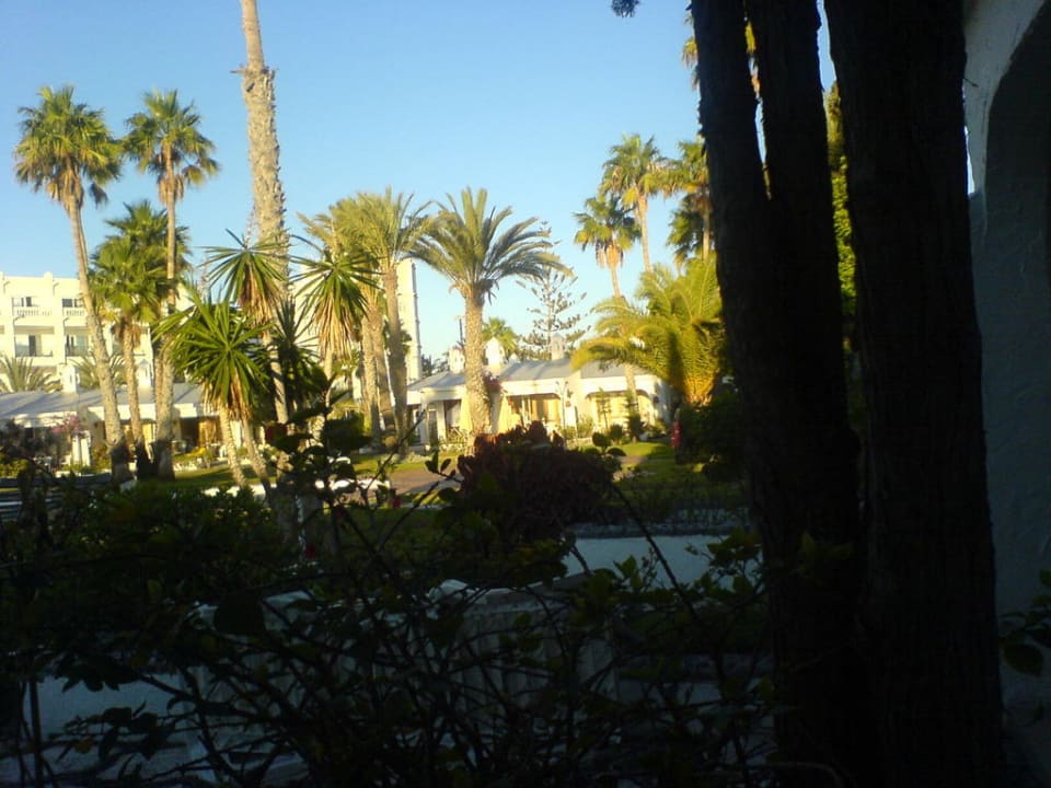 Blick von unserer Terrasse Sahara Beach Club