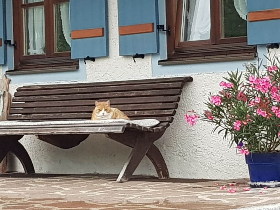Sonstiges Ferienwohnungen Matheishof