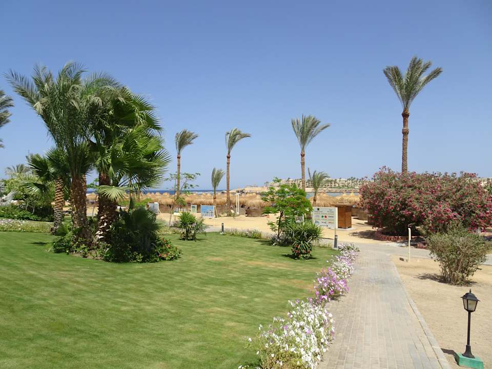 Gartenanlage Steigenberger Coraya Beach - Adults only