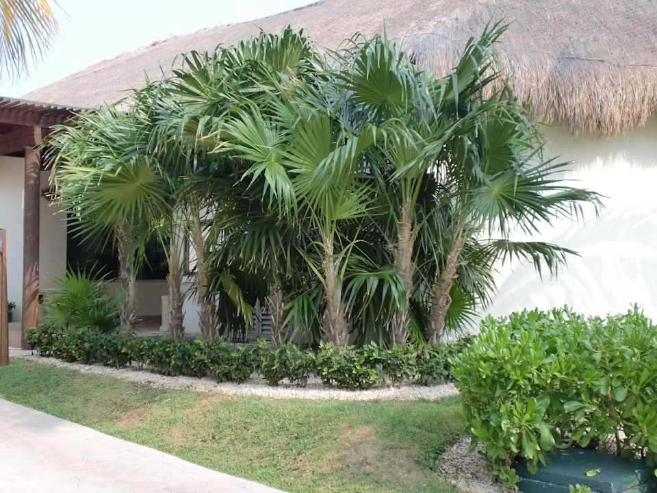 Super gepflegt BlueBay Grand Esmeralda