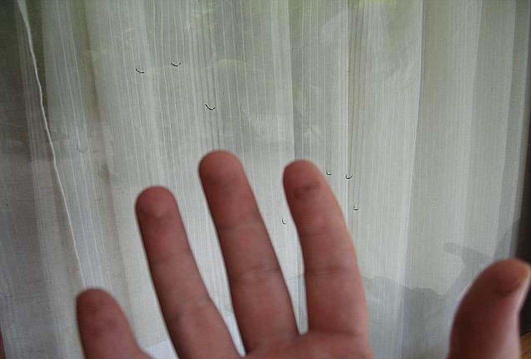 Fensterscheiben Eri Maldives