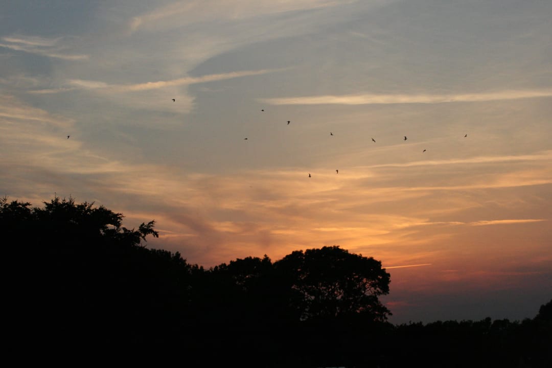Blick aus der Ferienwohnung Ferienhof Christian und Antje Hopp
