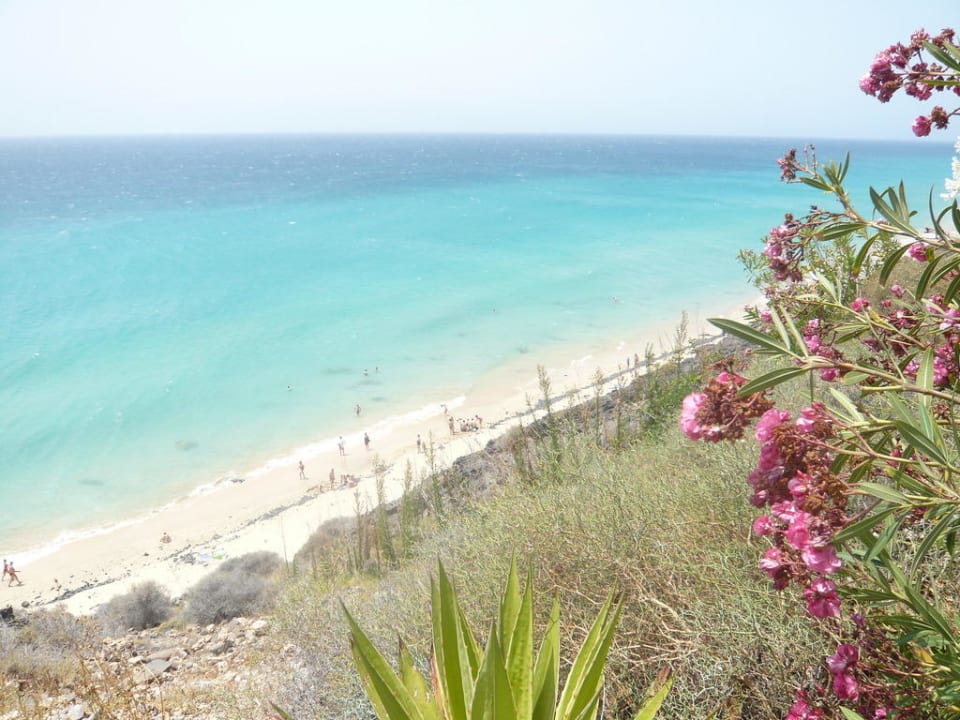 Strand TUI MAGIC LIFE Fuerteventura