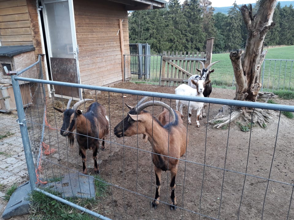 Sonstiges Landhotel Wüllner