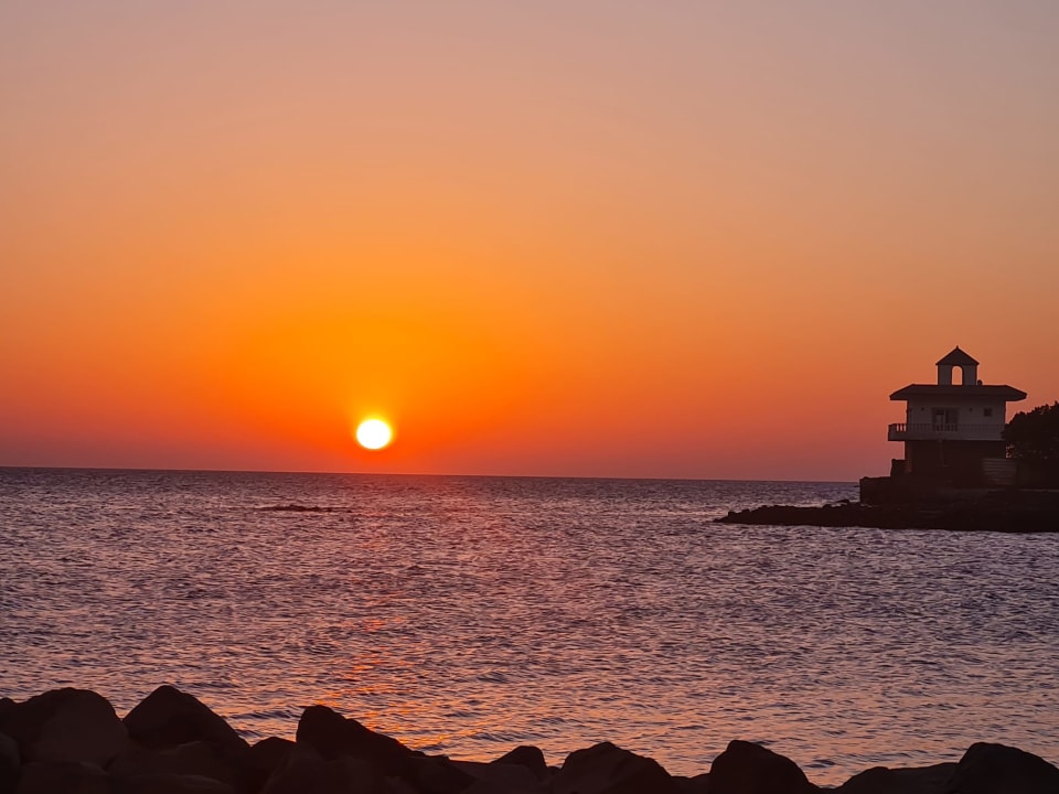 Ausblick Desert Rose