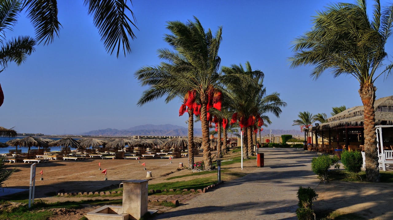 Ráno asi v 7:00hod Sentido Caribbean World Soma Bay