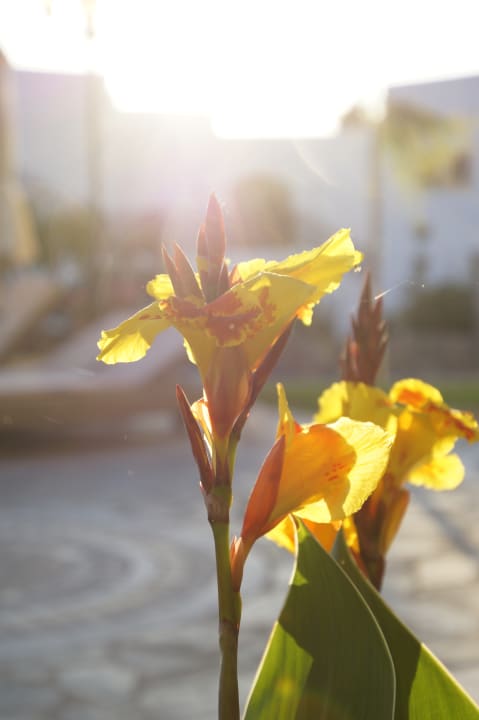 Sonstiges Creta Maris Resort