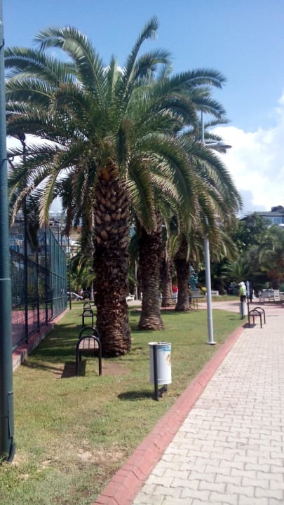 Парк между отелем и море  Hotel Aslan City Kleopatra