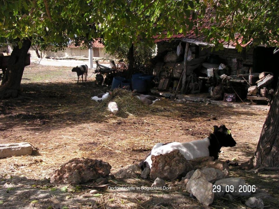 Dorfplatz in Bogazkent beim Belek Beach Resort Belek Beach Resort Hotel