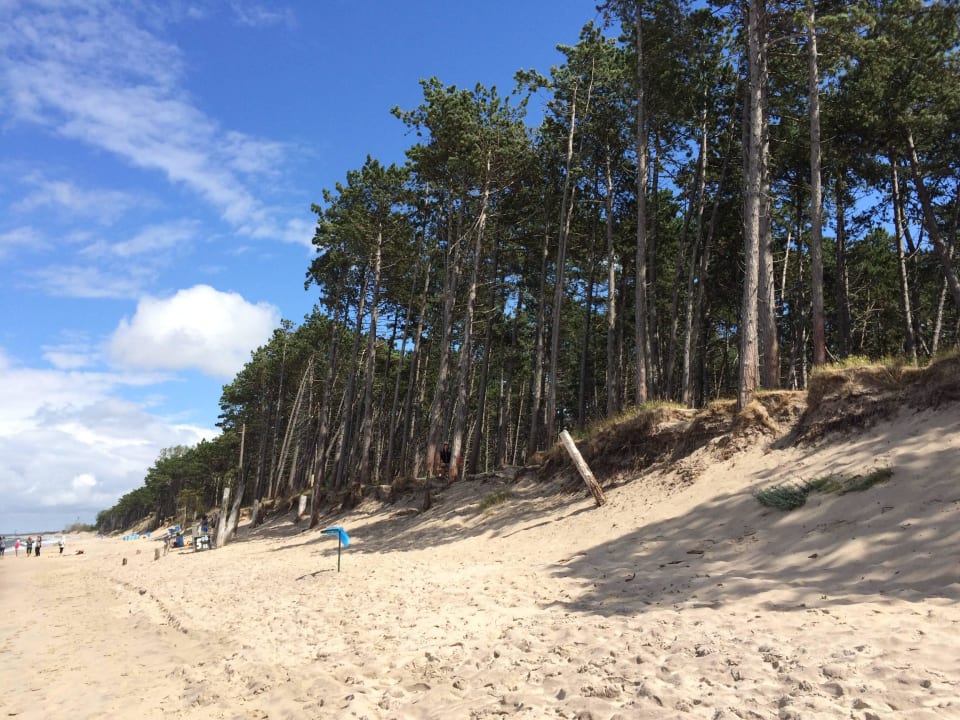 Strand vor Hotel  Blue Marine