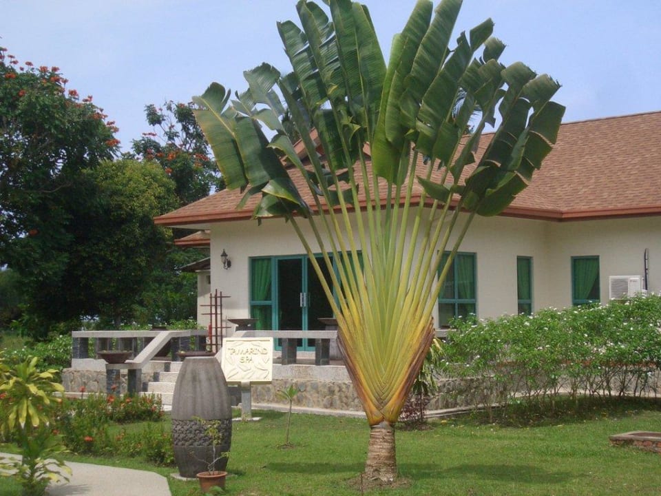 Spa im Beringgis Beach Resort Hotel Beringgis Beach Resort