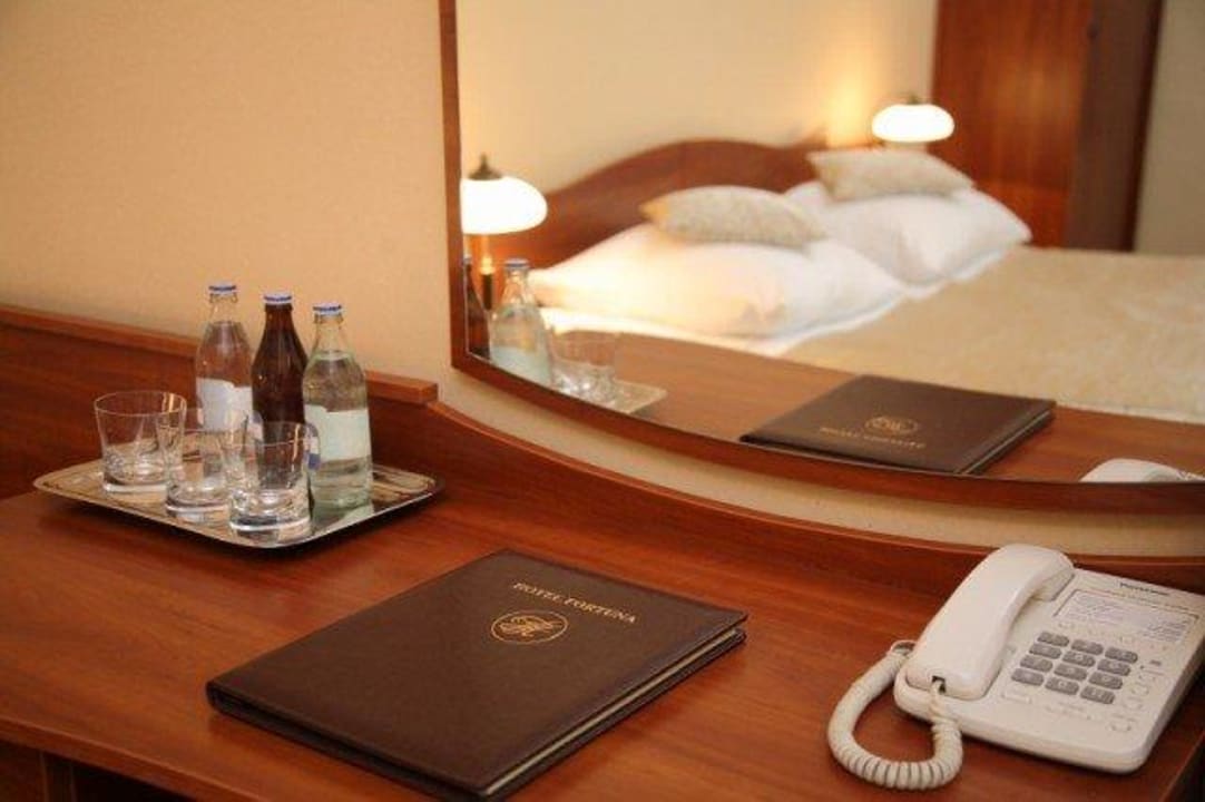 Fortuna Hotel w Krakowie – double room. Hotel Fortuna