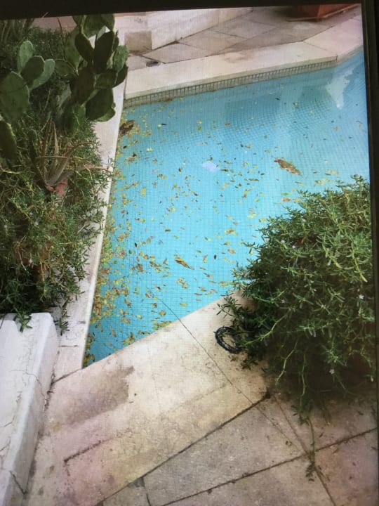 Pool Ghazala Gardens