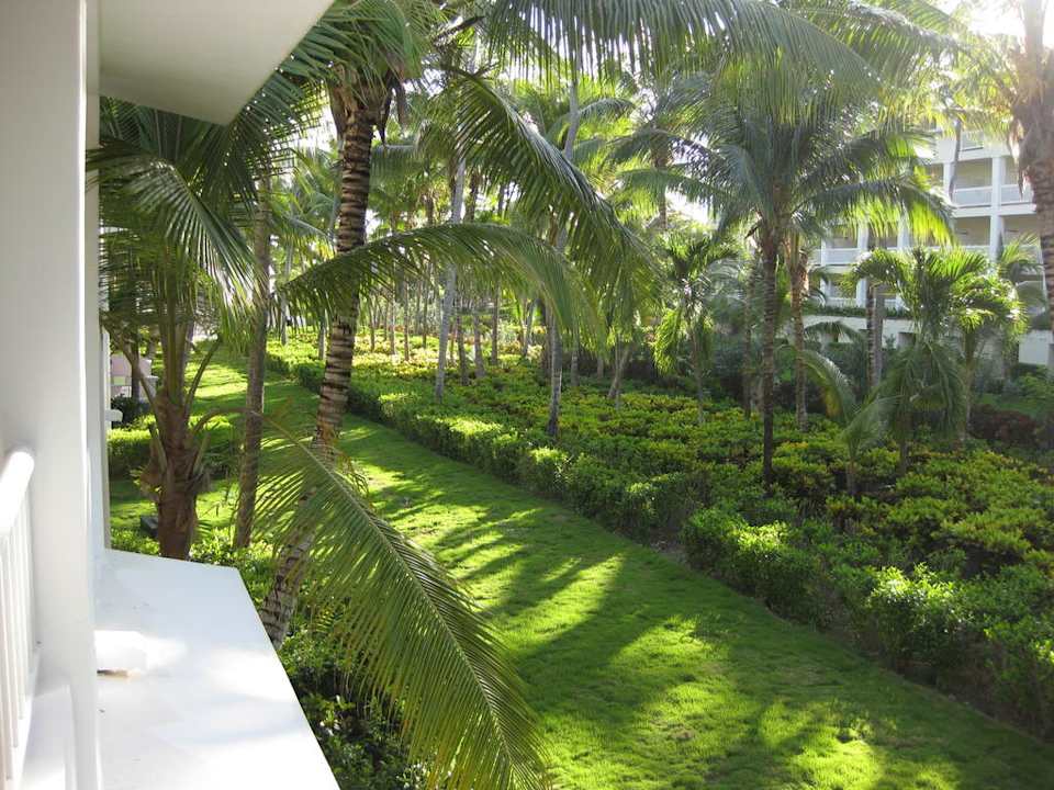 Ausblick auf Riu Macao Hotel Riu Bambu