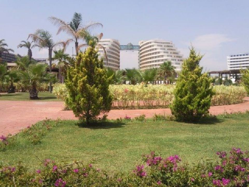 Gartenanlage Hotel Miracle Resort